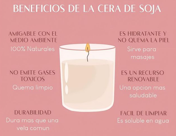 Equipo completo de BIO ART